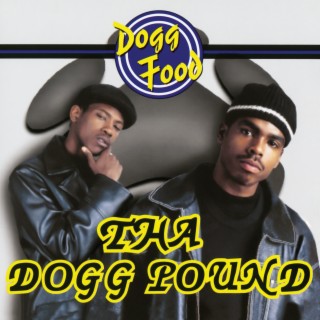 I Don't Like to Dream About Gettin Paid ft. Nate Dogg lyrics | Boomplay Music