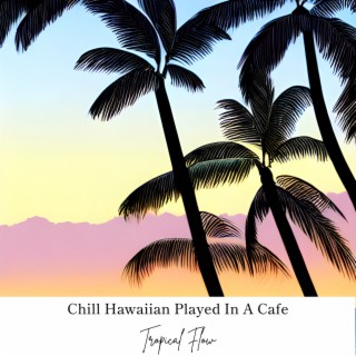Chill Hawaiian Played In A Cafe