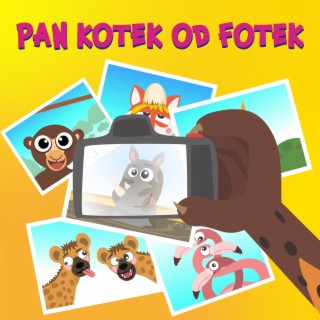 Pan kotek od fotek