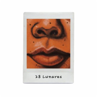 28 Lunares