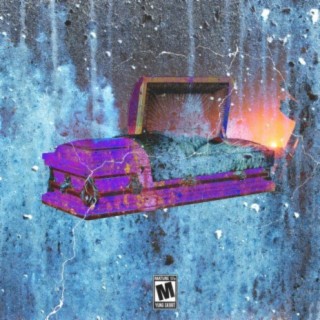 Purple Coffin