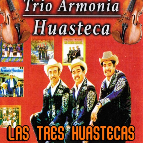 Las Tres Huastecas