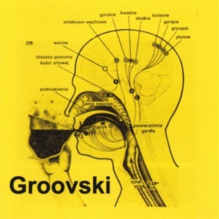 Groovski