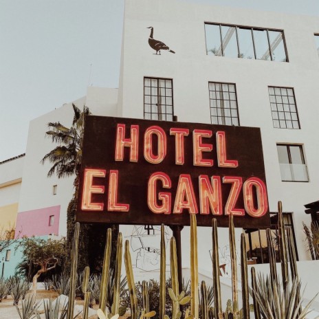 Another Earth (Acoustic) [LIVE from Hotel El Ganzo] | Boomplay Music