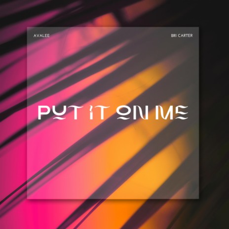 Put It On Me ft. Bri Carter | Boomplay Music