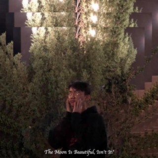 The Moon Is Beautiful, Isn't It? lyrics | Boomplay Music