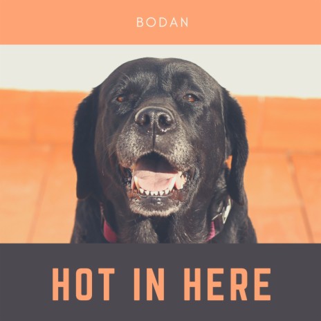Hot In Here | Boomplay Music