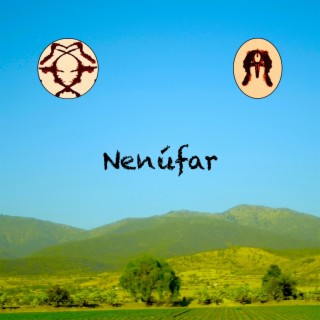 Nenúfar