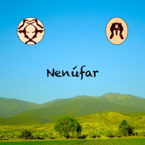 Nenúfar | Boomplay Music