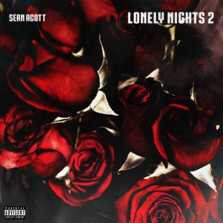 Lonely Nights 2