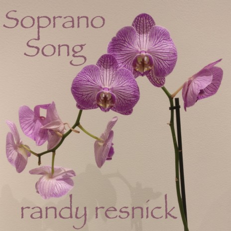Soprano Song (Guitar Remix)