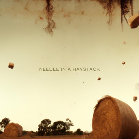 Needle In a Haystack | Boomplay Music