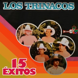 15 Exitos