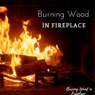 Burning Wood in Fireplace