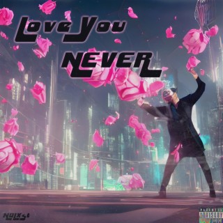 Love You Never