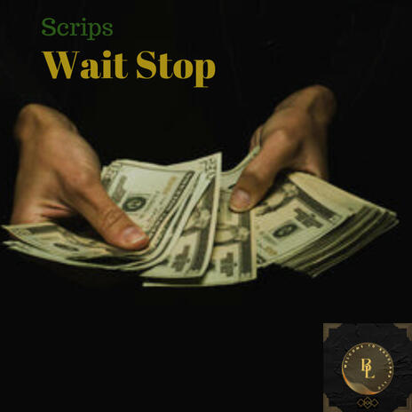 Wait, Stop | Boomplay Music