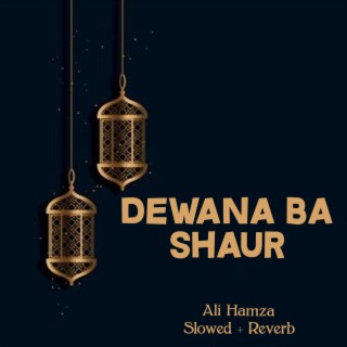 Dewana Ba shaur Lofi