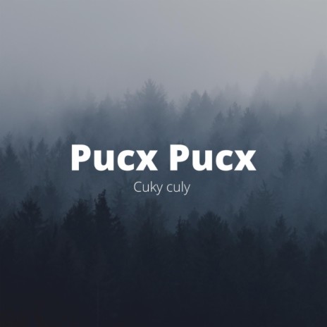 Pucx Pucx | Boomplay Music