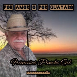 Por Amor o Por Guayabo (musica llanera)