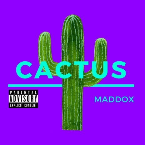 Cactus | Boomplay Music