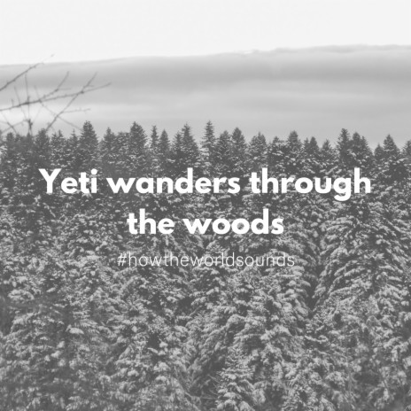 Yeti Wanders Through the Woods | Boomplay Music