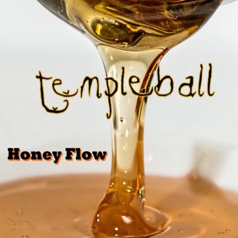 Honey Flow | Boomplay Music