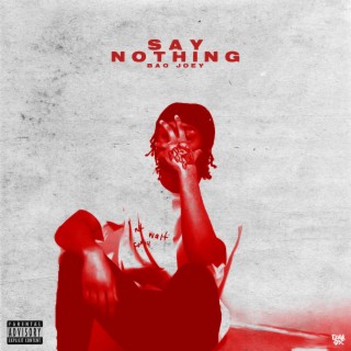 Say Nothing lyrics | Boomplay Music