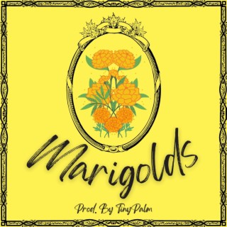 Marigolds