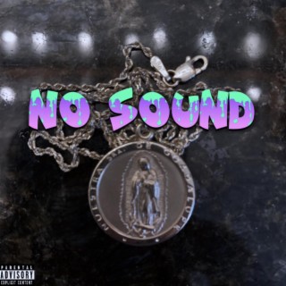 No Sound