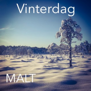 Vinterdag