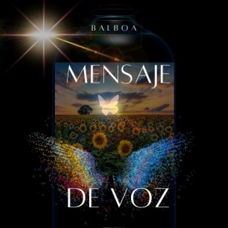 Mensaje De Voz lyrics | Boomplay Music