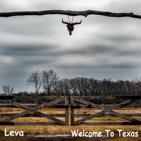 Welcome To Texas | Boomplay Music