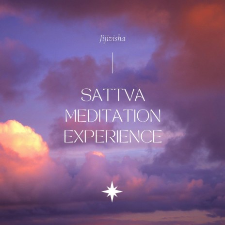 Sattva Meditation Experience