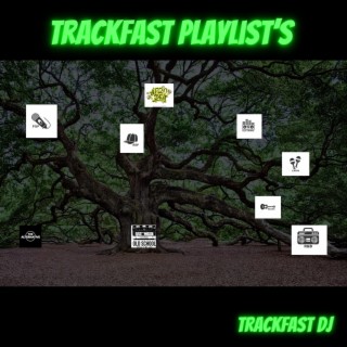 TrackFast Playlists
