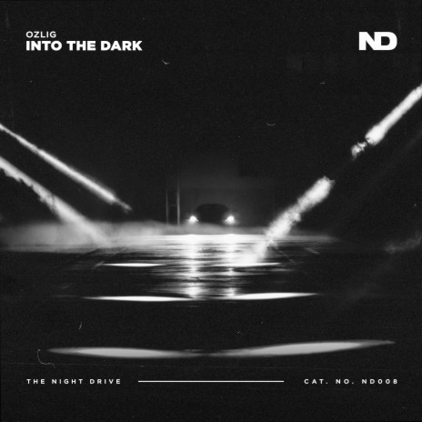 Into the Dark | Boomplay Music