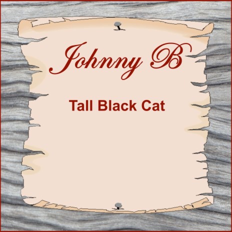 Tall Black Cat