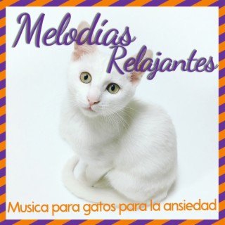Melodías relajantes - Música para gatos para la ansiedad