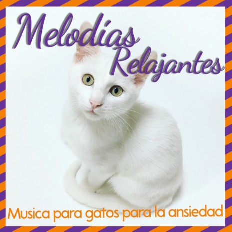 Melodías instrumentales para gatos | Boomplay Music