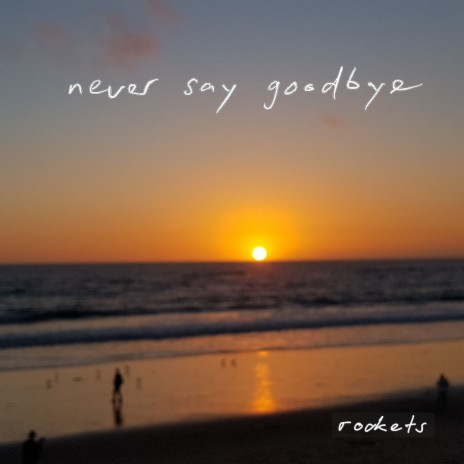 Never Say Goodbye | Boomplay Music