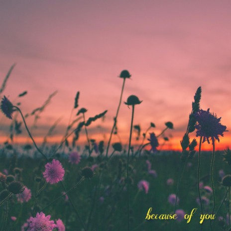 because of you | Boomplay Music