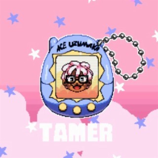 Tamer