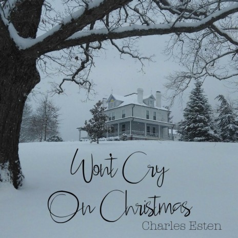 Won't Cry on Christmas | Boomplay Music