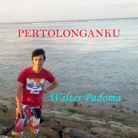 Pertolonganku | Boomplay Music