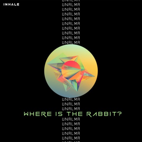 Where Is the Rabbit? | Boomplay Music