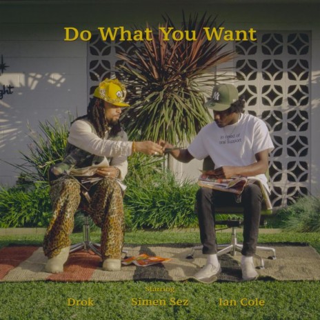 Do What You Want ft. Drok & Ian Cole | Boomplay Music