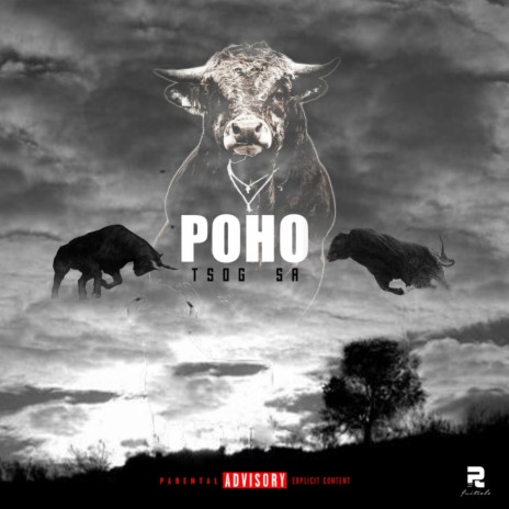 POHO | Boomplay Music