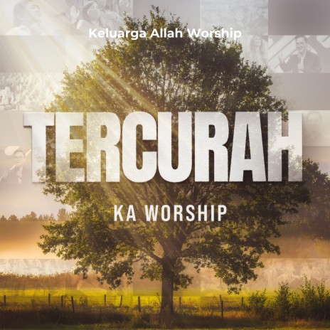 Tercurah | Boomplay Music