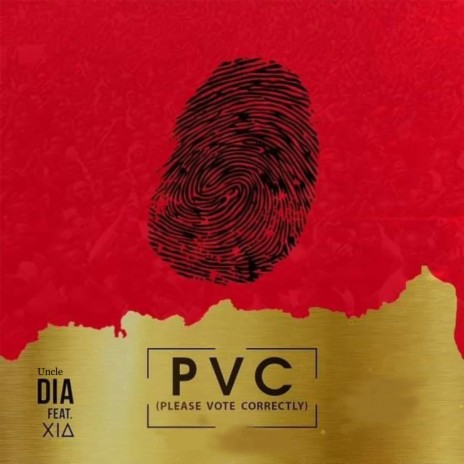 PVC (Please Vote Correctly) ft. xia | Boomplay Music