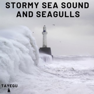 Stormy Sea Sound and Seagulls Winter Ocean 1 Hour Relaxing Nature Ambience Yoga Meditation Sounds For Sleeping Relaxation or Studying