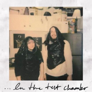 ...In the Test Chamber lyrics | Boomplay Music